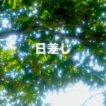 日差し（デモテープ）